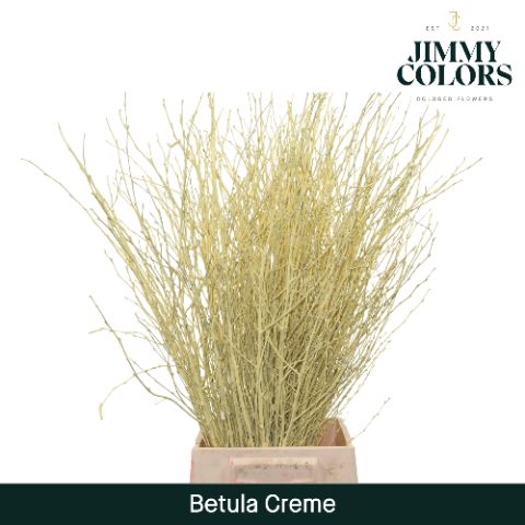 Betula L70 Creme