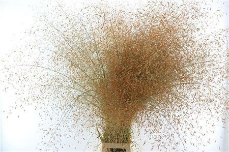 Various Greenery 130cm