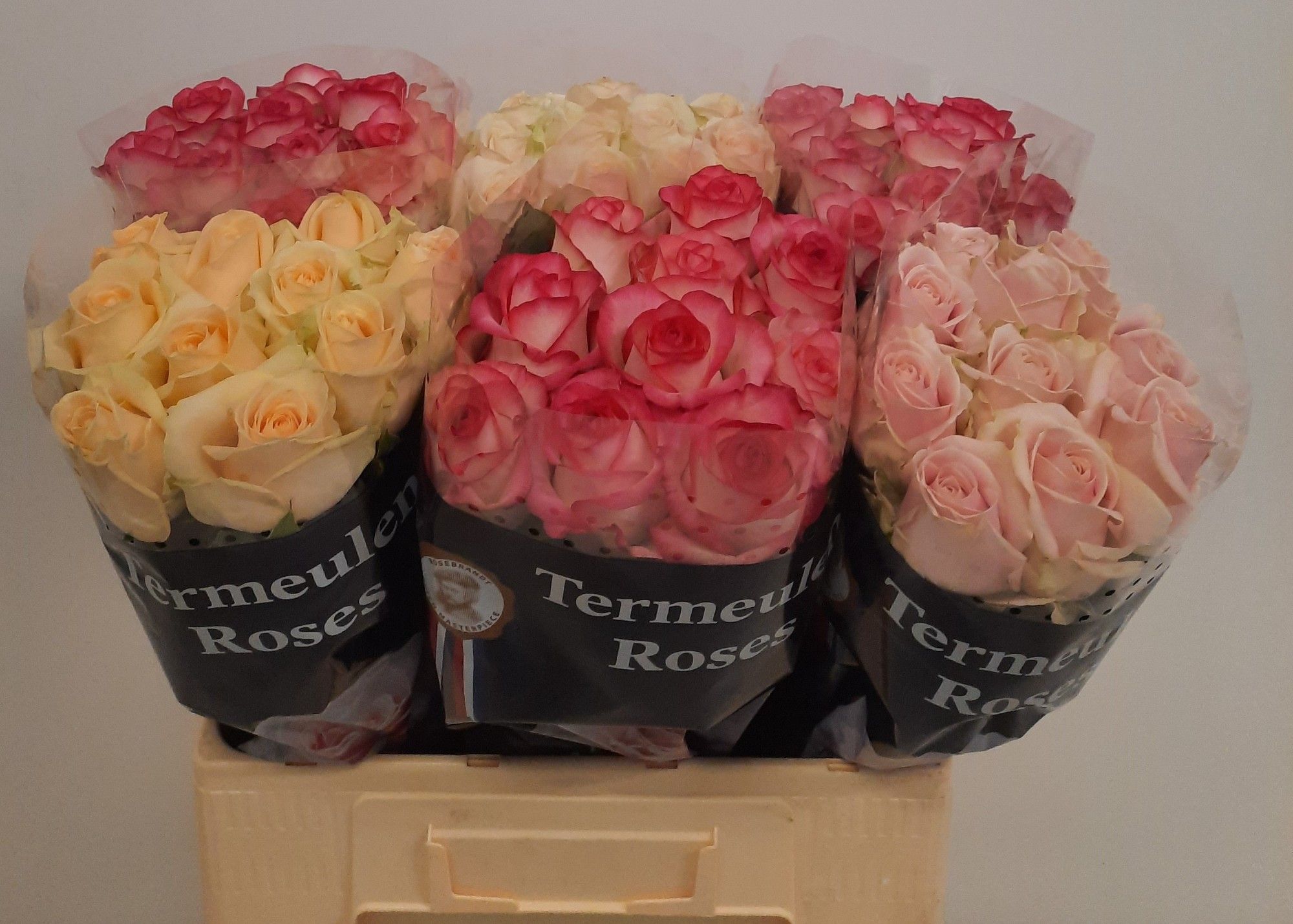 Rosa Mixed In Bucket 60cm