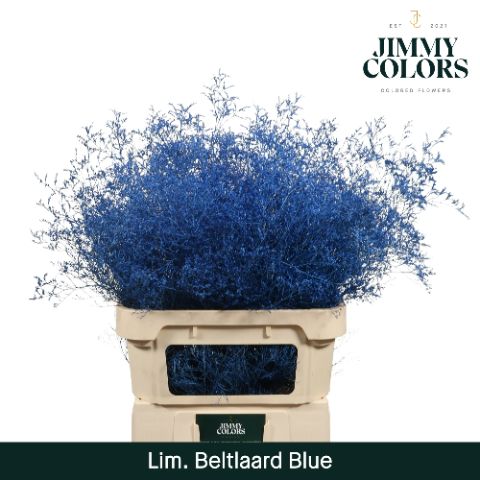 Lim Bel L90 Blue