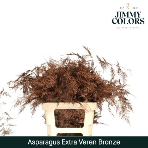 Aspa Extra Veren Brons
