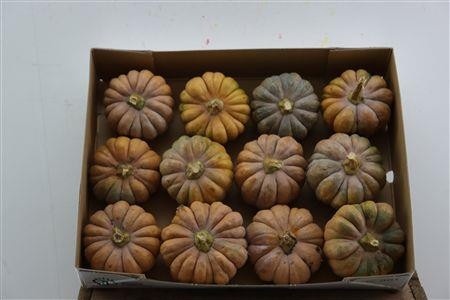 Ornamental Fruits Per Piece