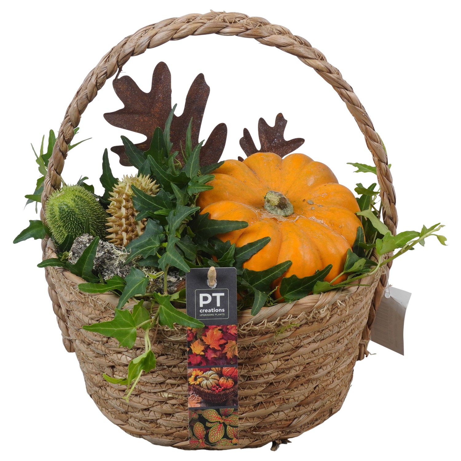 Picture of PTKBH5321 Arrangement Autumn Fruits in willow basket P22 31CM