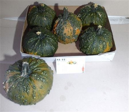 Ornamental Fruits Per Piece