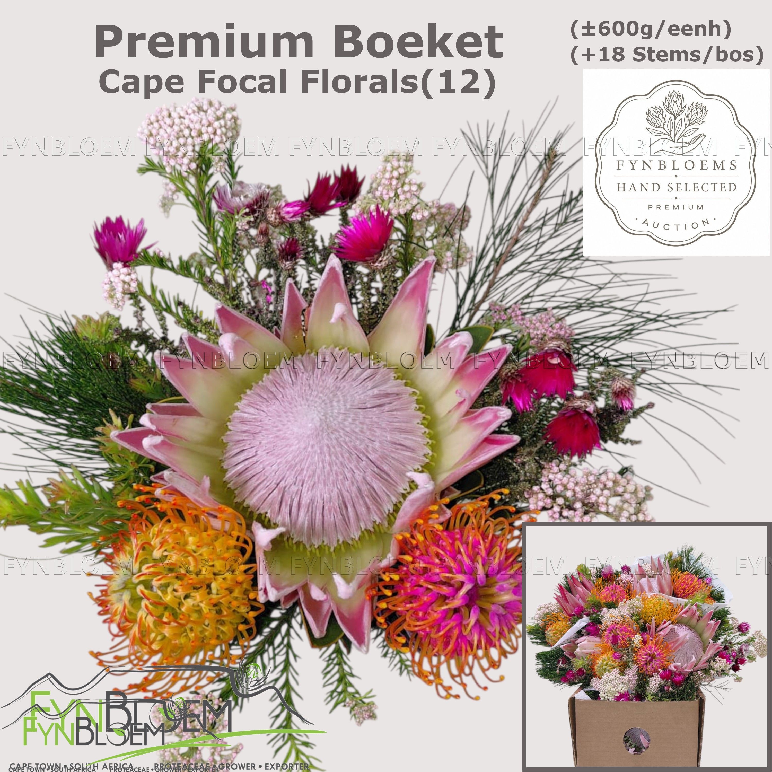 Protea Bouquet Per Bunch 40cm