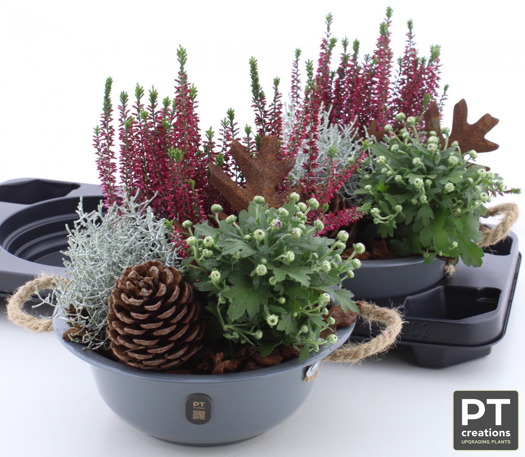 Arr Tuinplanten 24P 32cm 22bloei