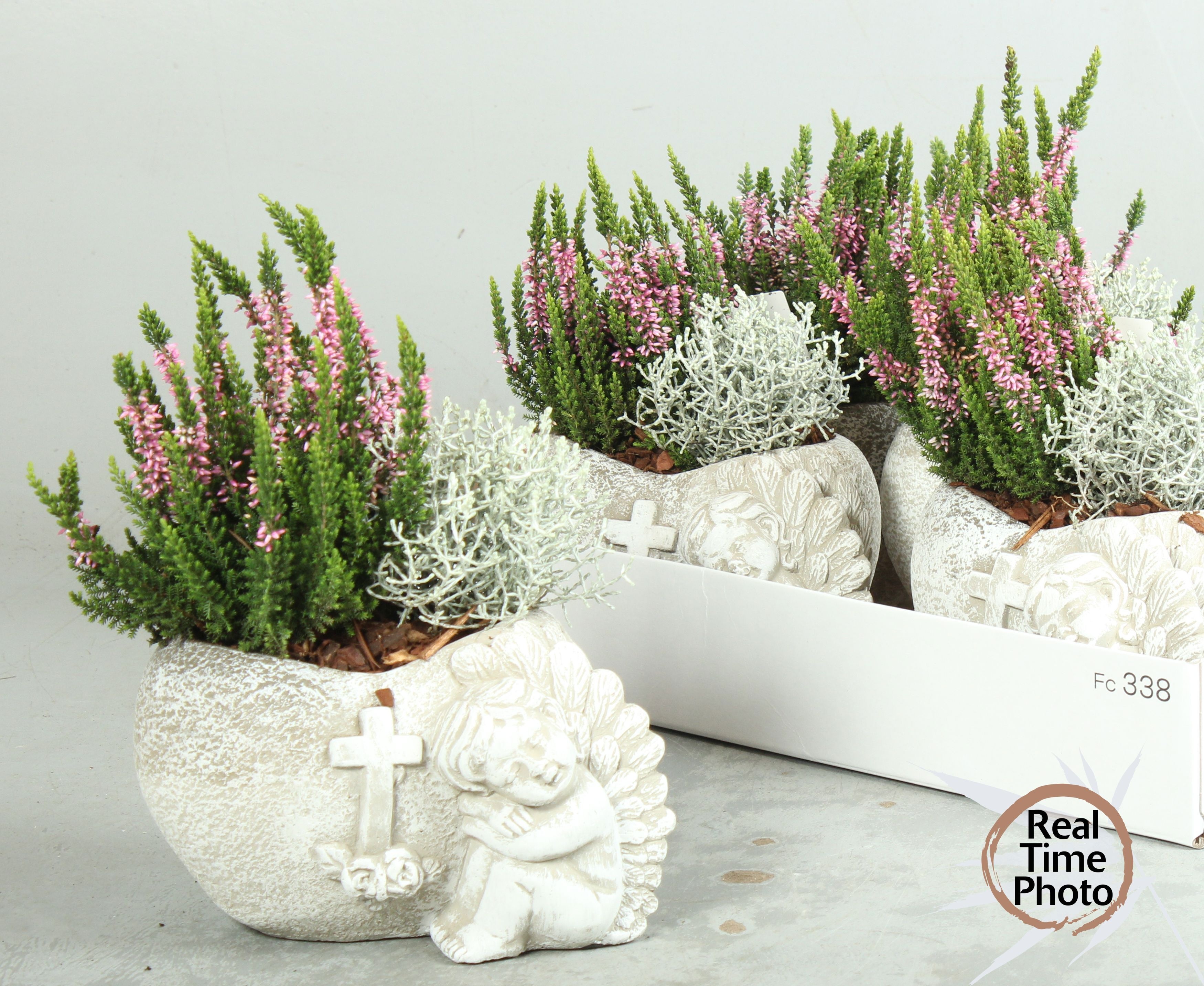 Arr Tuinplanten 21P 35cm