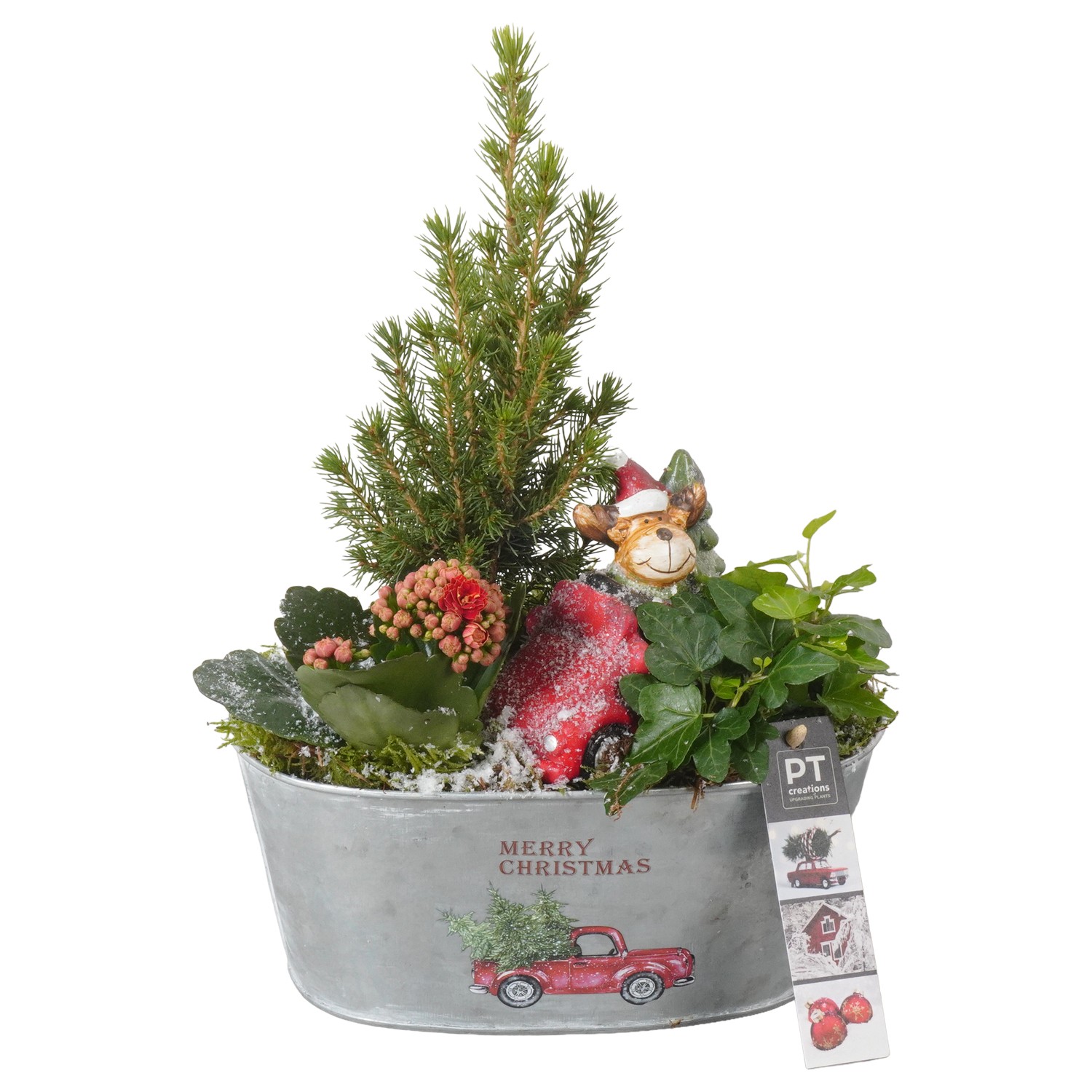 Picture of PTKB9447 Arrangement X-Mas in zinc pot P22 32cm