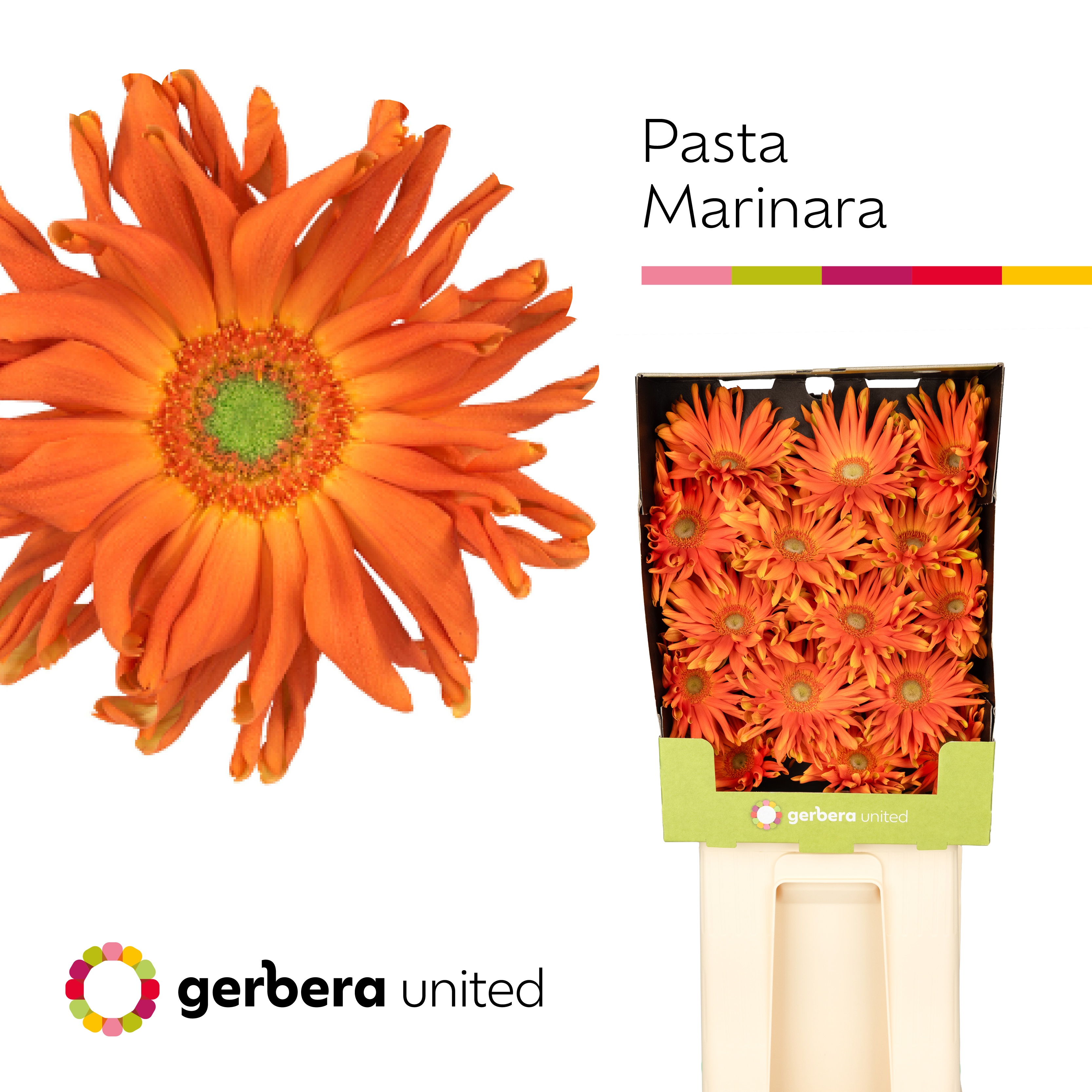 Ge Kv Pasta Marinara