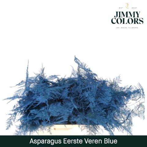 Aspa 1ste Veren Blauw