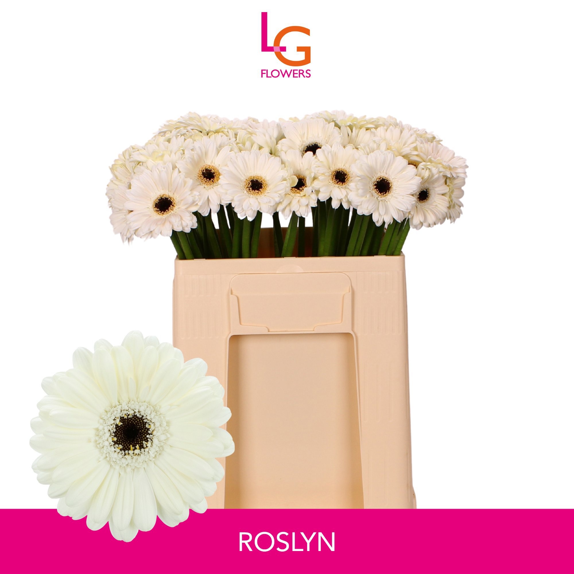 Ge Mi Roslyn