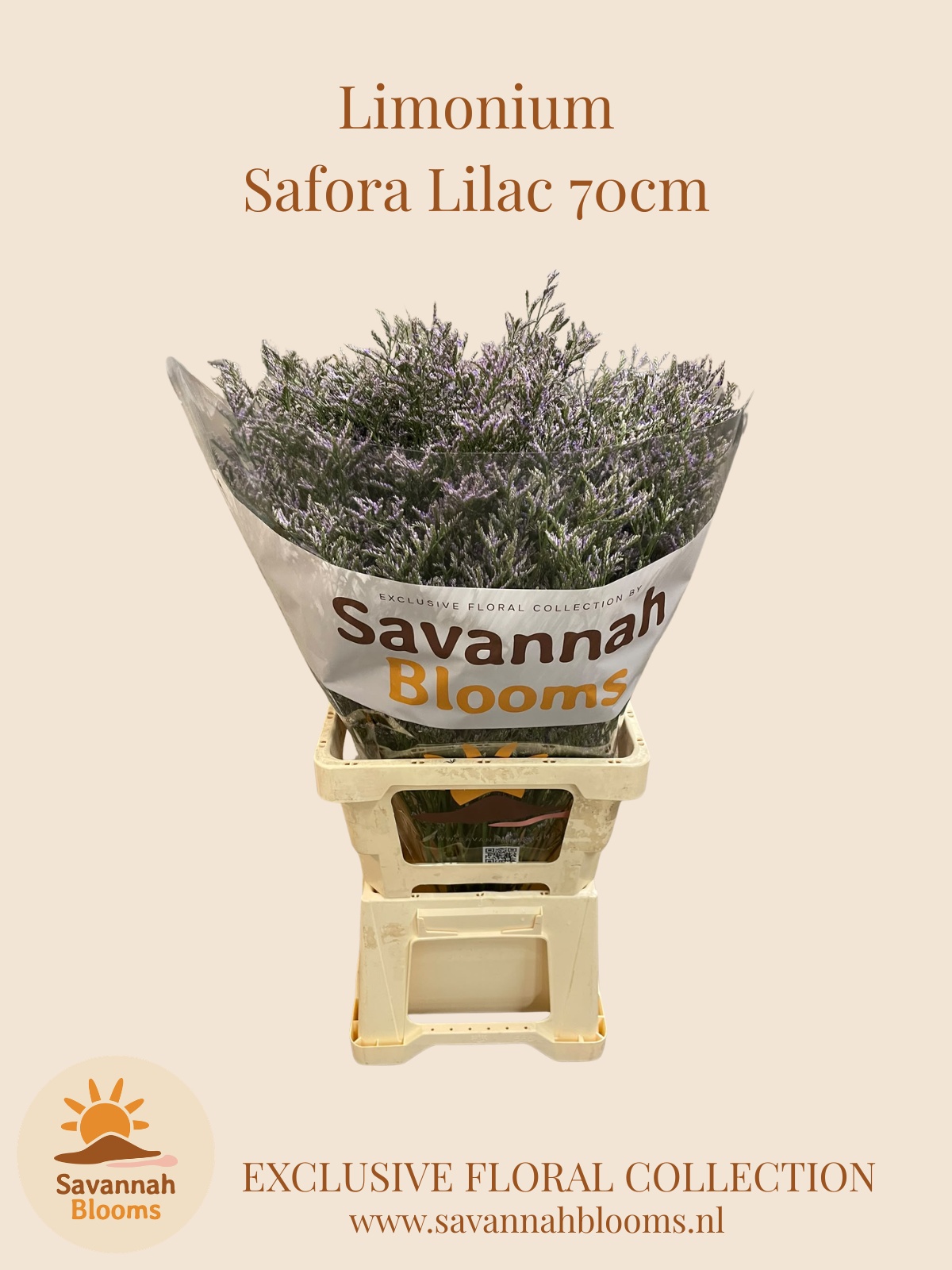 Lim Saf Lilac