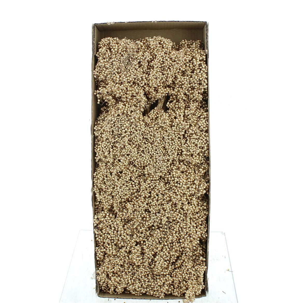 Schinus M Bes Bs H% 30cm 200gram