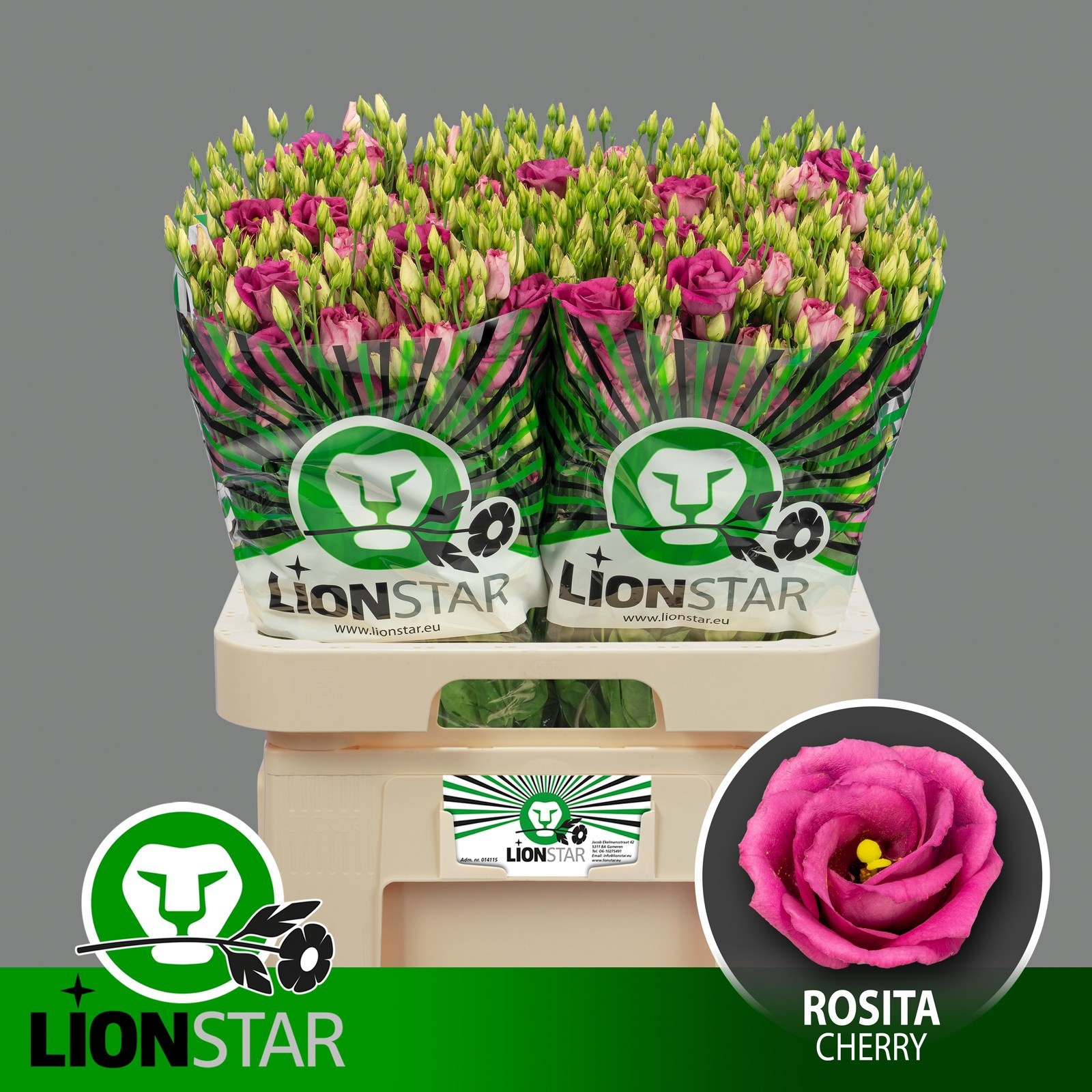 Eus G Rosita Cherry