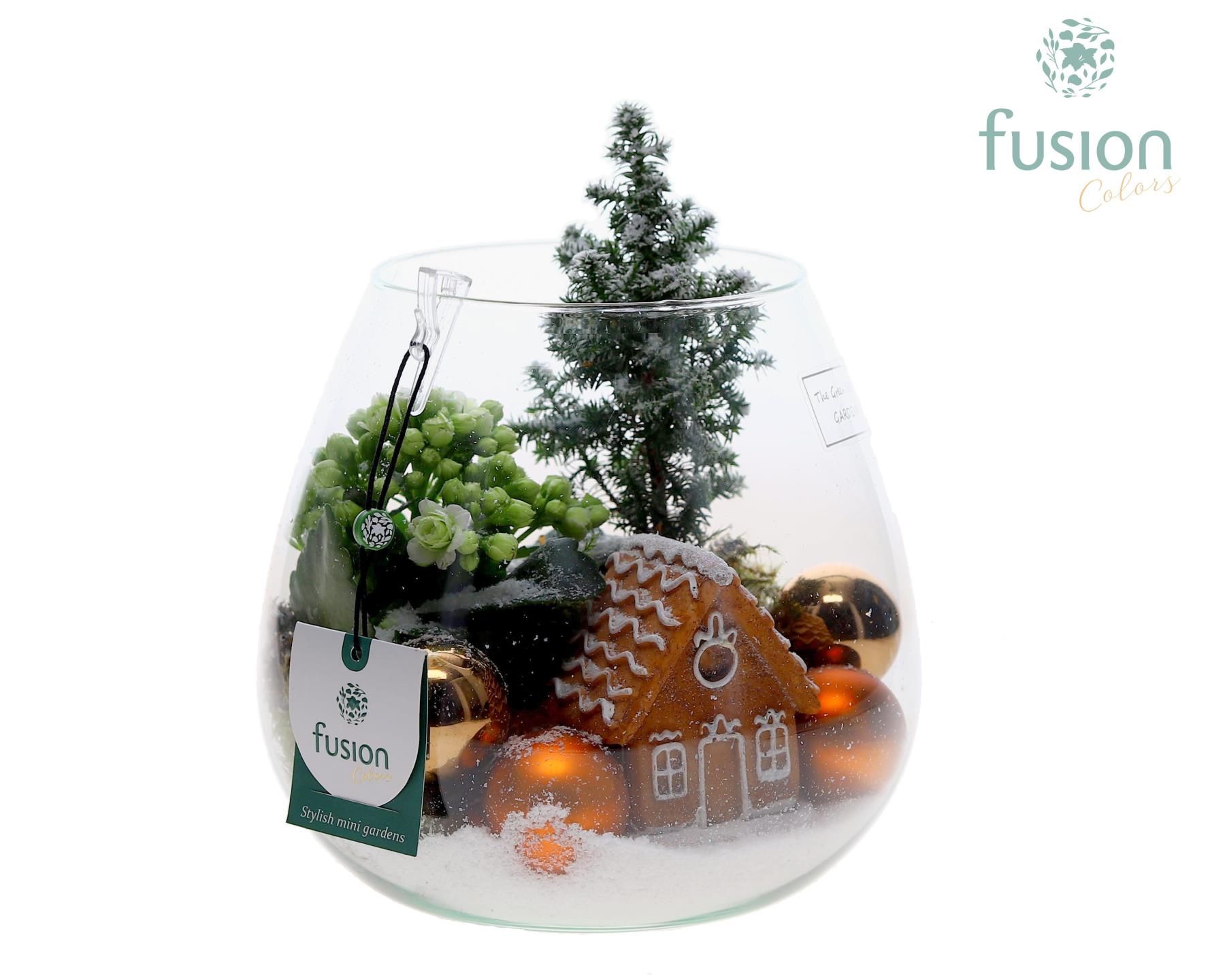 Afbeeldingen van X-Mas arrangement Green Bottle Abby Medium FC-23.1277FDH P19 25CM