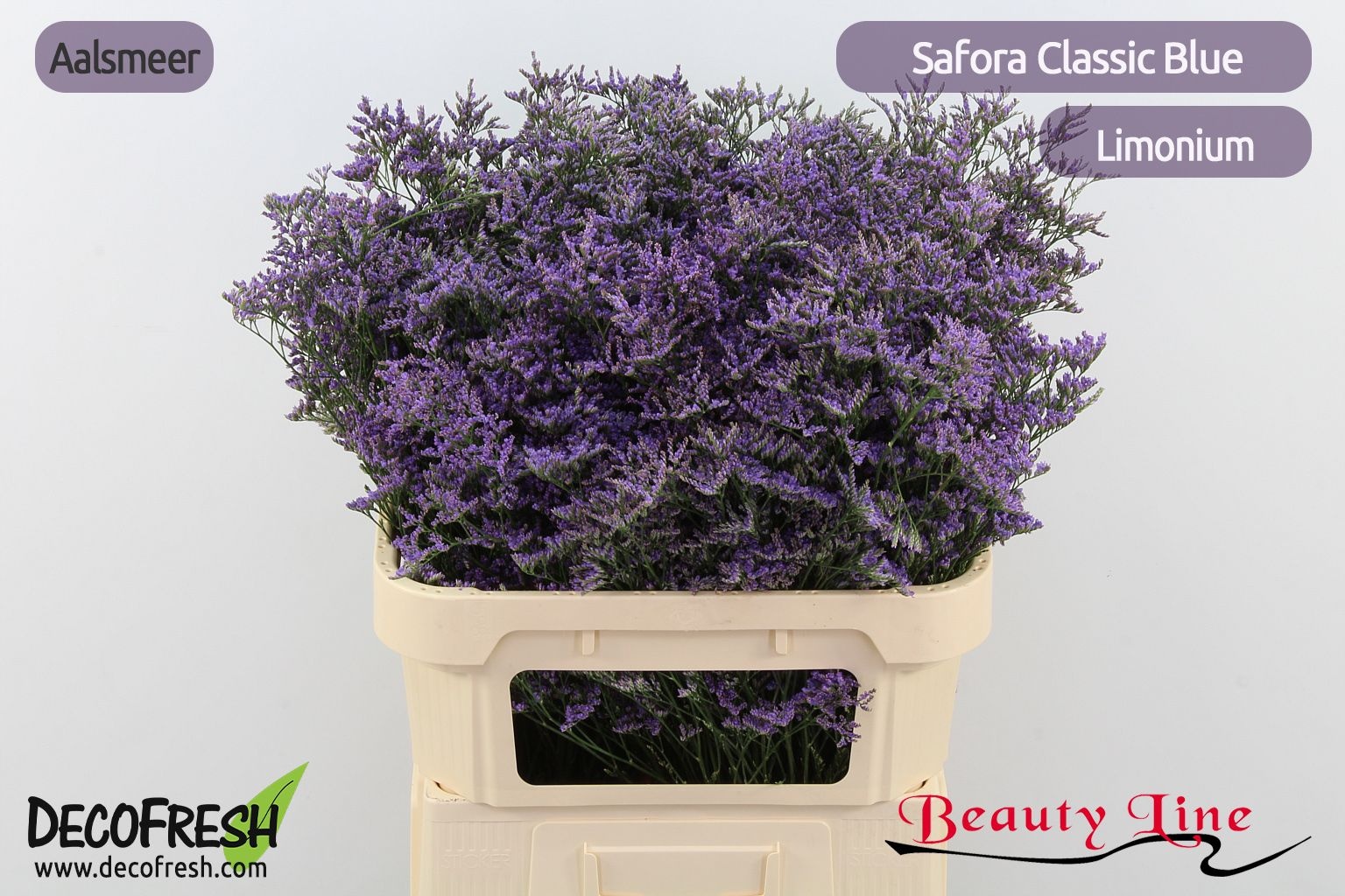 Lim Saf Classic Blue