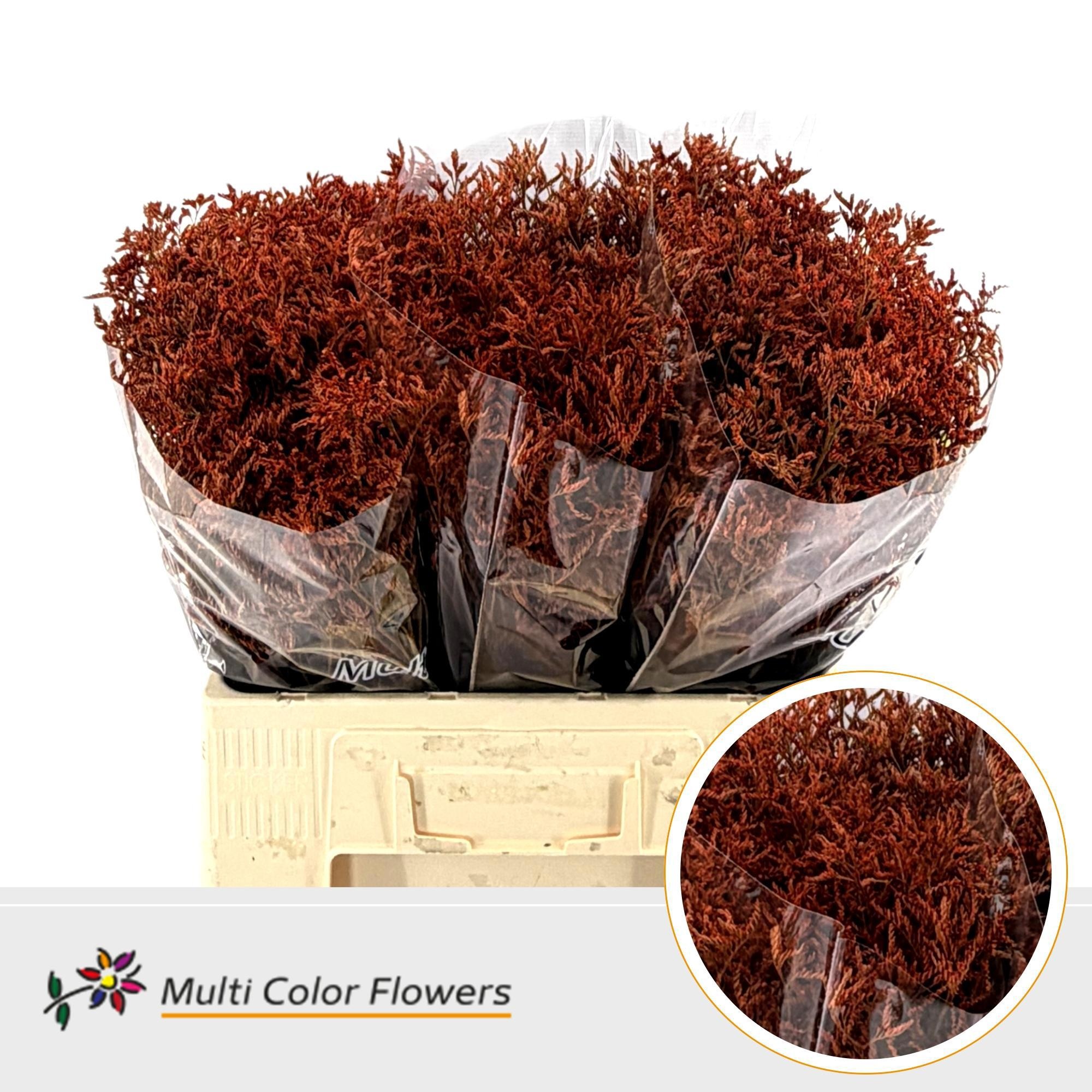 Lim Ov Klb H% 60L.cm 20gram 23bloei
