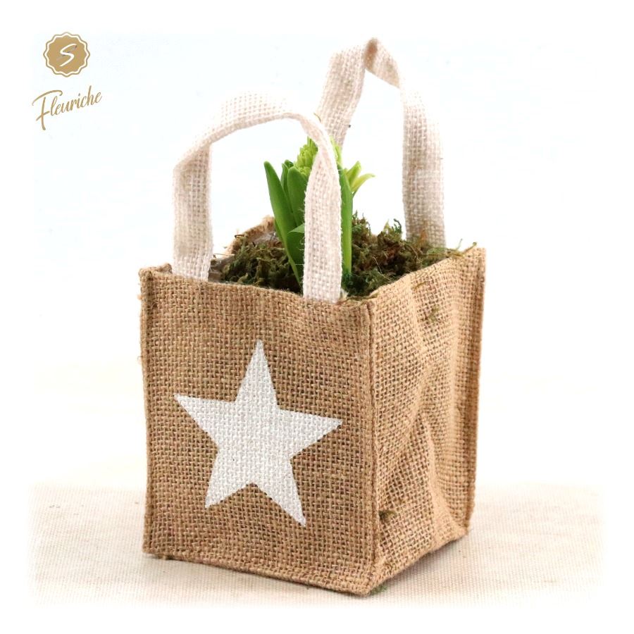 Picture of (DN464) Hyacint Shopping Bag [M] P10 25CM