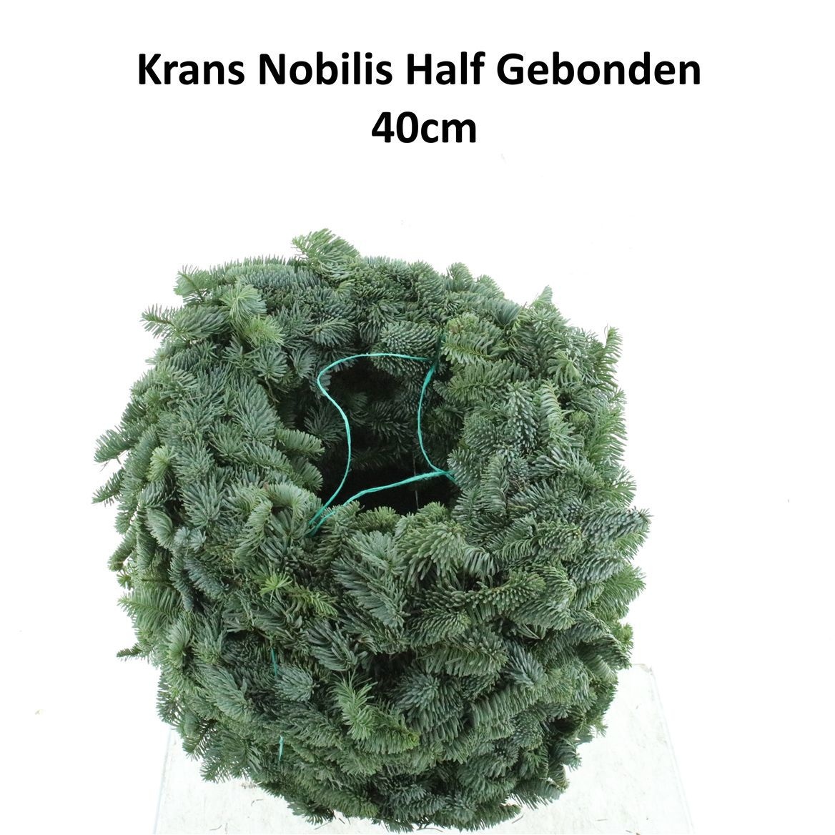 Nobilis Wreath