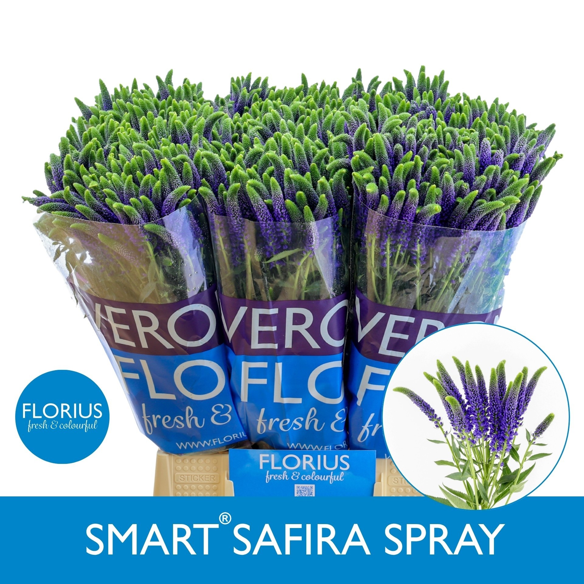 Veron Smart Safira 50cm