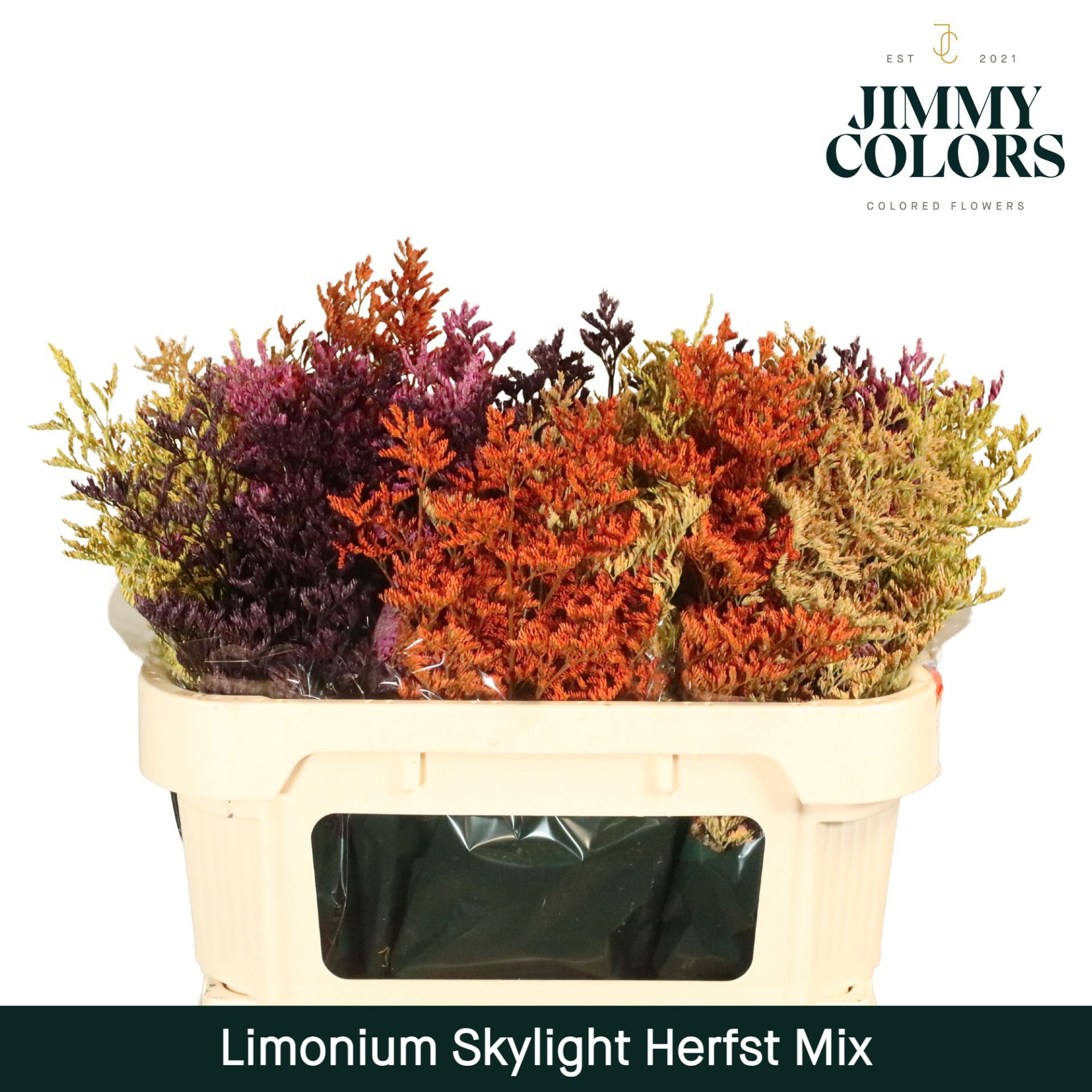 Lim Skylight L70 Autumn Mix