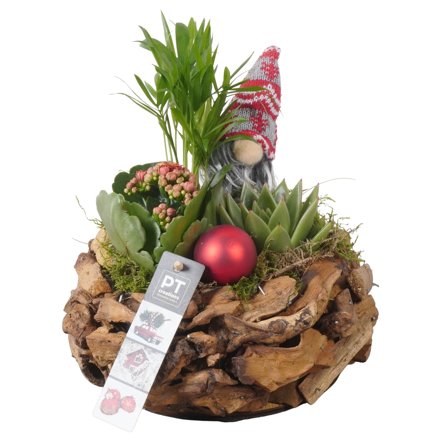 Picture of PTKB9307 Arrangement X-Mas in wooden bowl P21 23cm