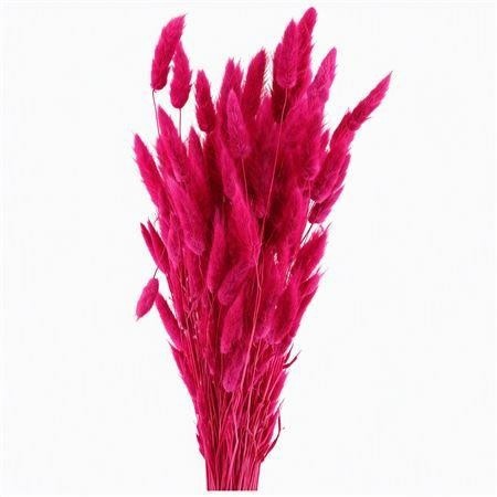 Dried/preserved Flowers Misc 60cm 100gram
