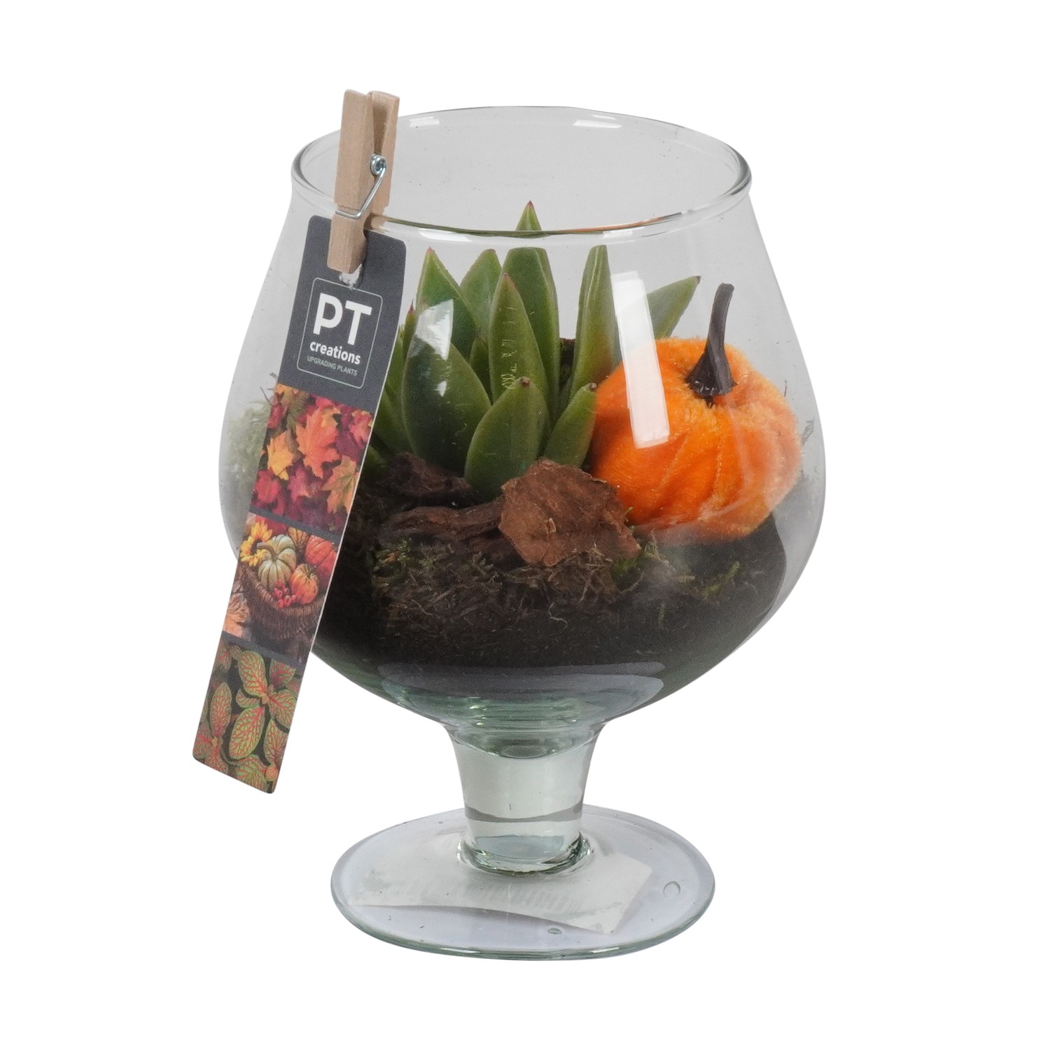 Picture of PTHG1755 Arrangement Autumn in cognac glass P12 20CM