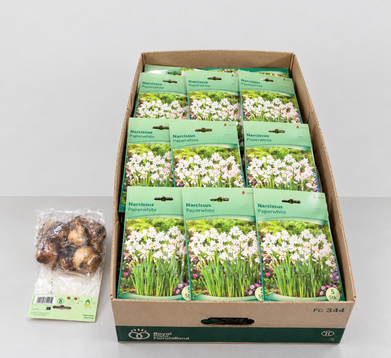 Bloembol Narcis
