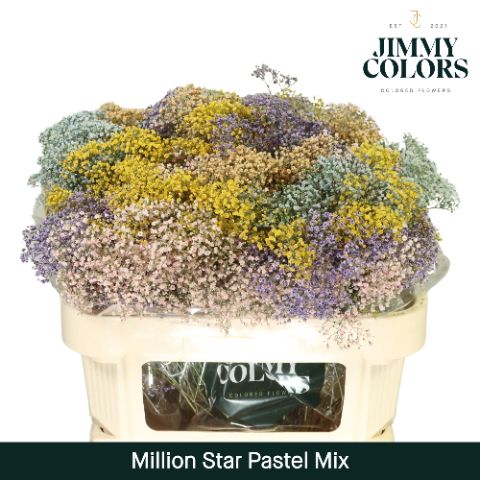 Gyps Million Star L70 Pastel Mix