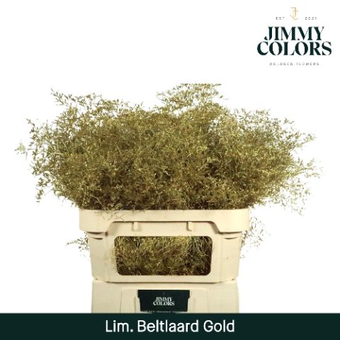 Lim Bel L90 Metallic Gold