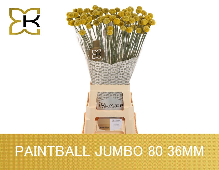 Cras Paintball Jumbo