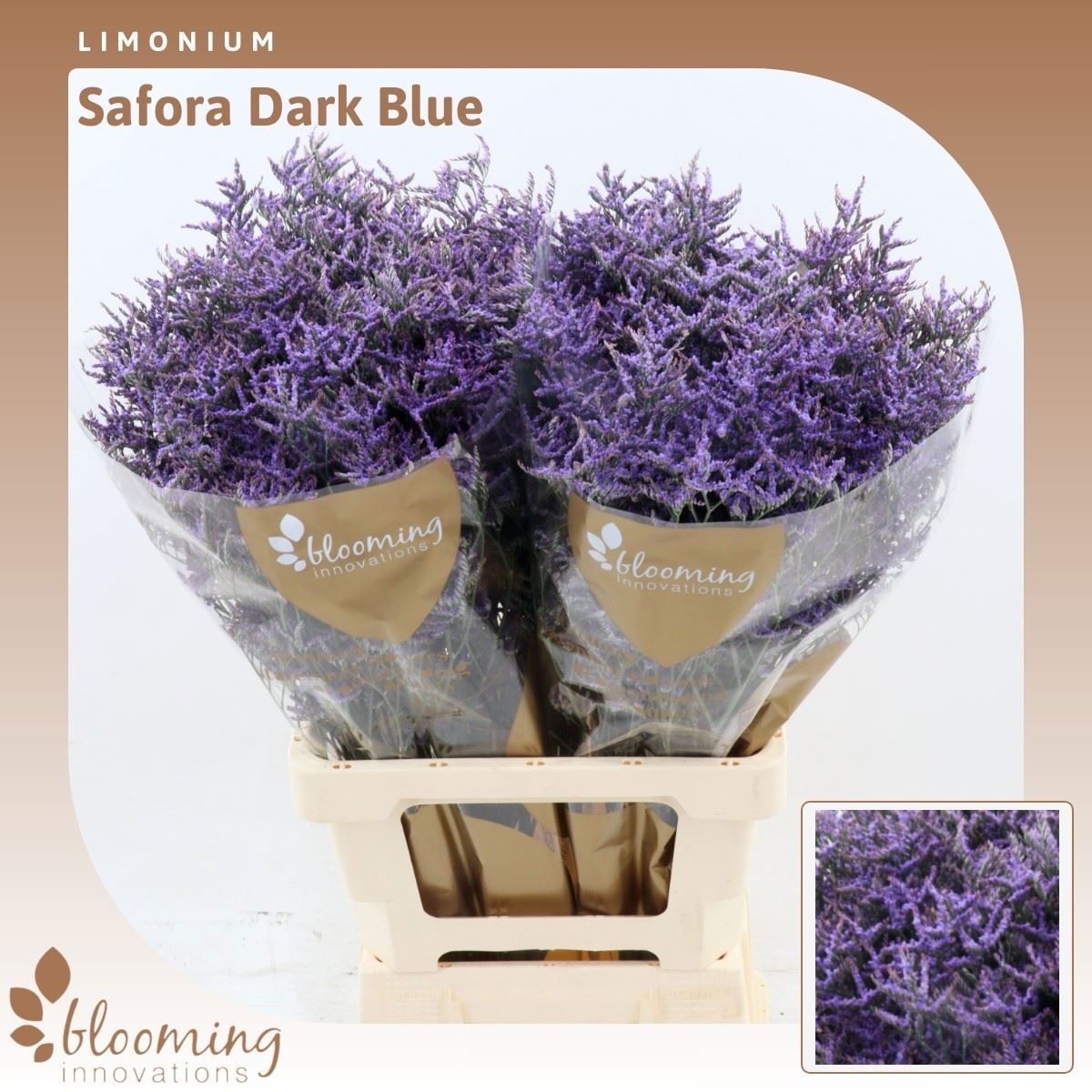 Lim Saf Dark Blue 70L.cm 35gram 23bloei