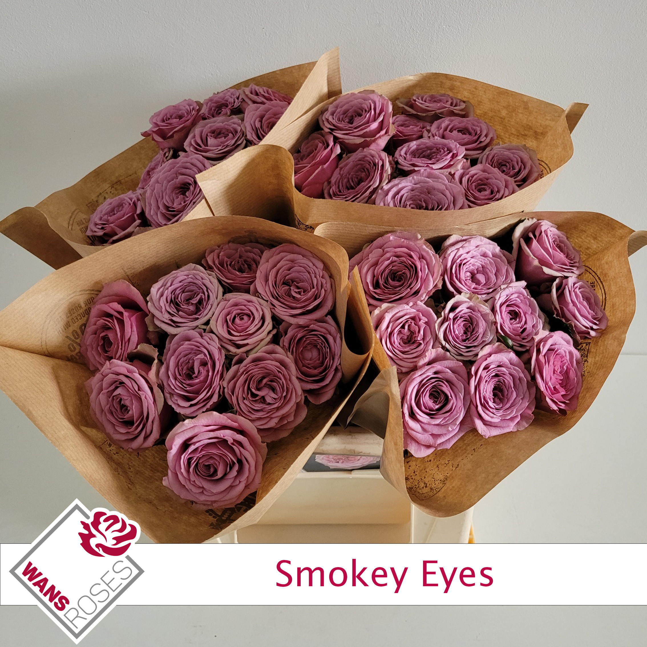 Rosa Garden Smokey Eyes 40cm