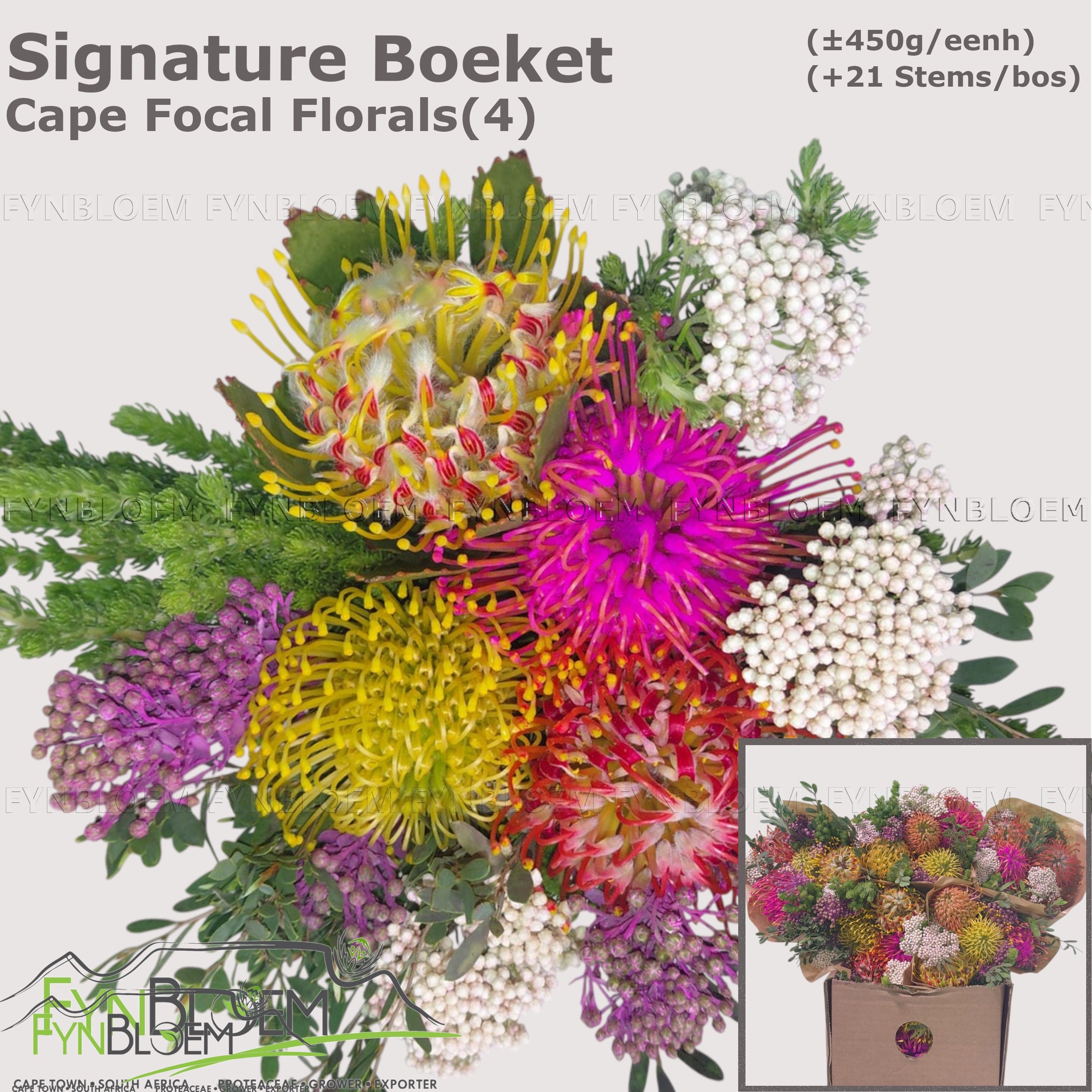 Protea Bouquet Per Bunch 40cm