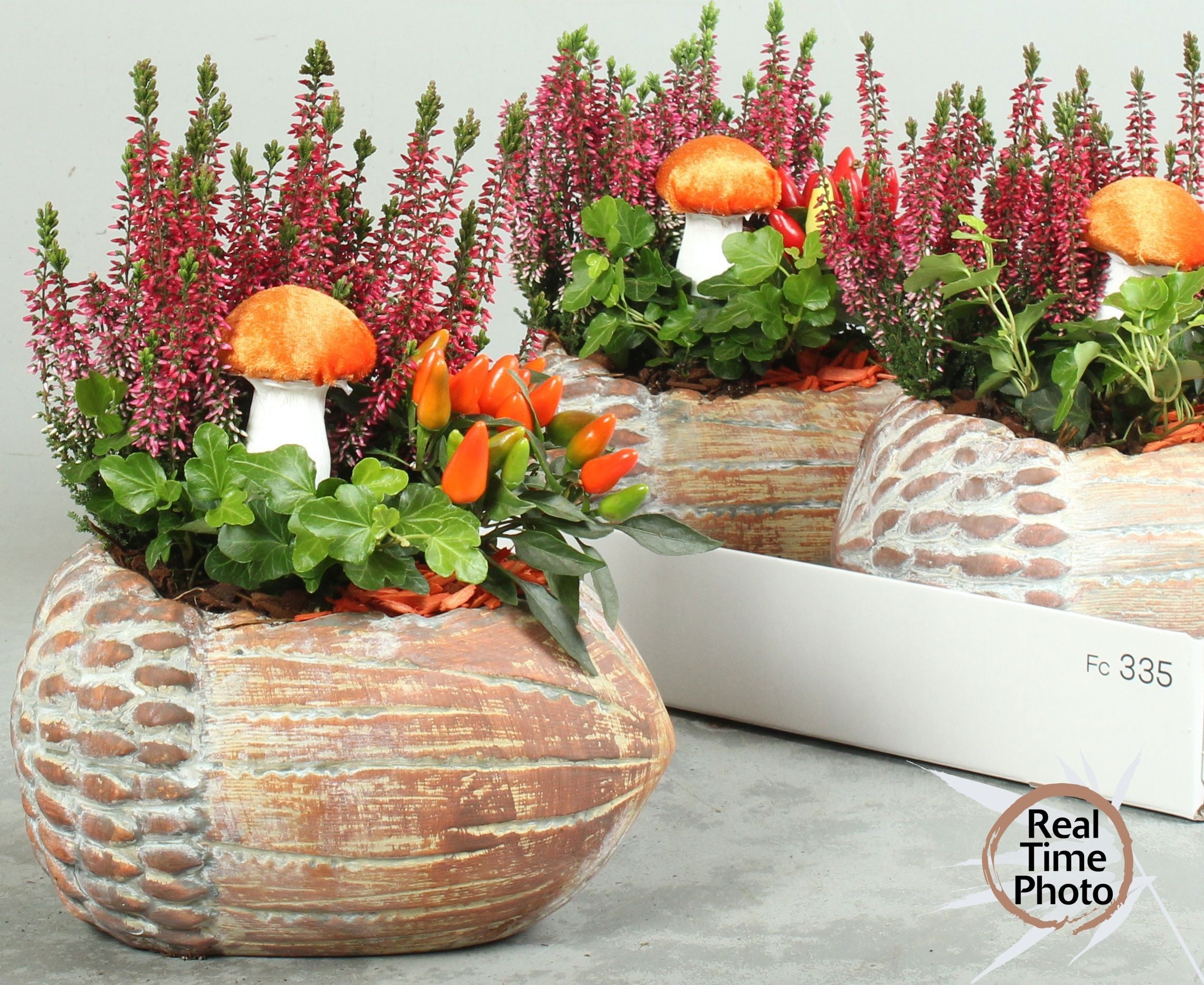 Arr Tuinplanten 24P 30cm
