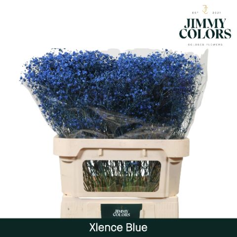 Gyps Xlence L80 Blue