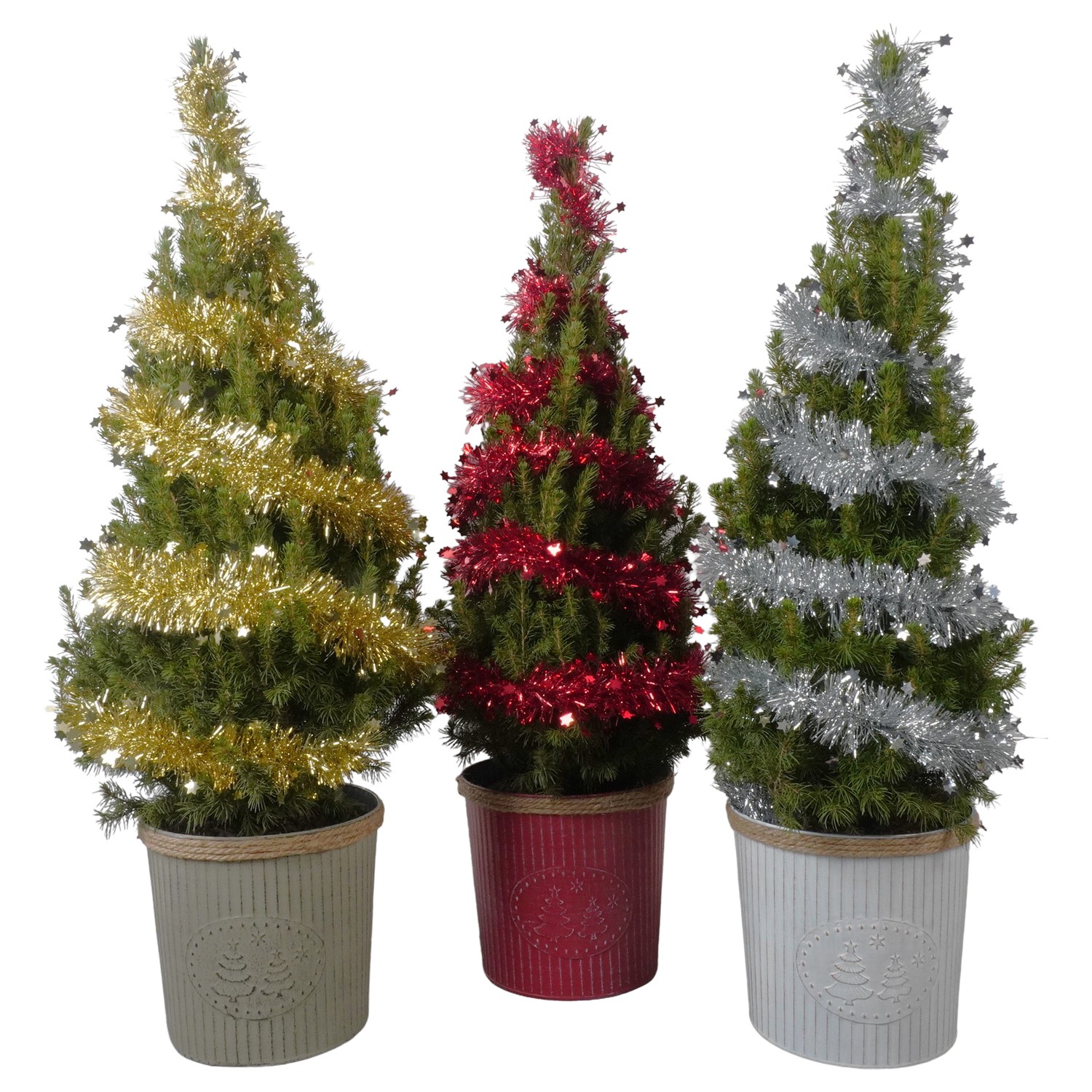 Picture of PTK24609 Picea Conica Perfecta in zinc decoration P19 75cm