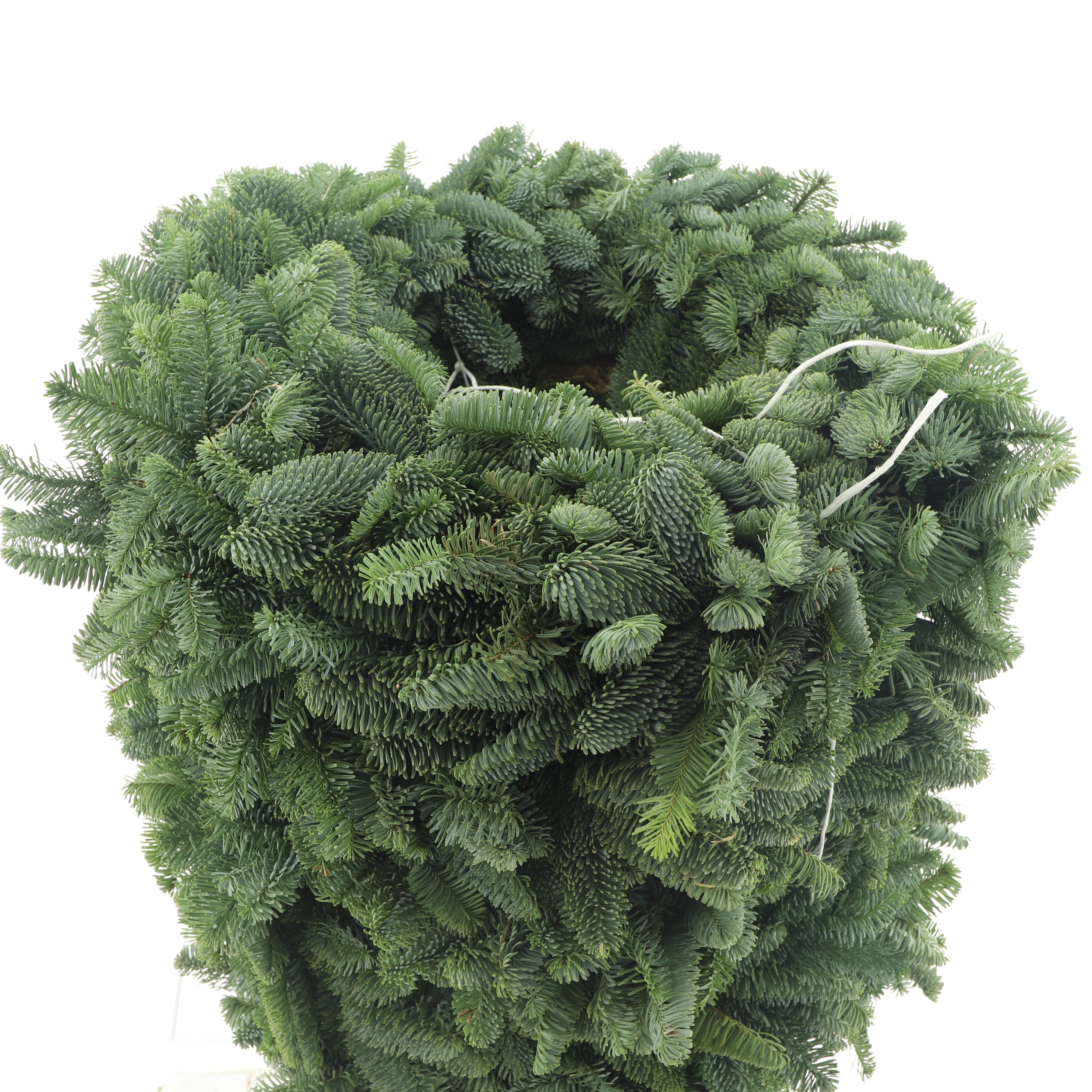 Nobilis Wreath