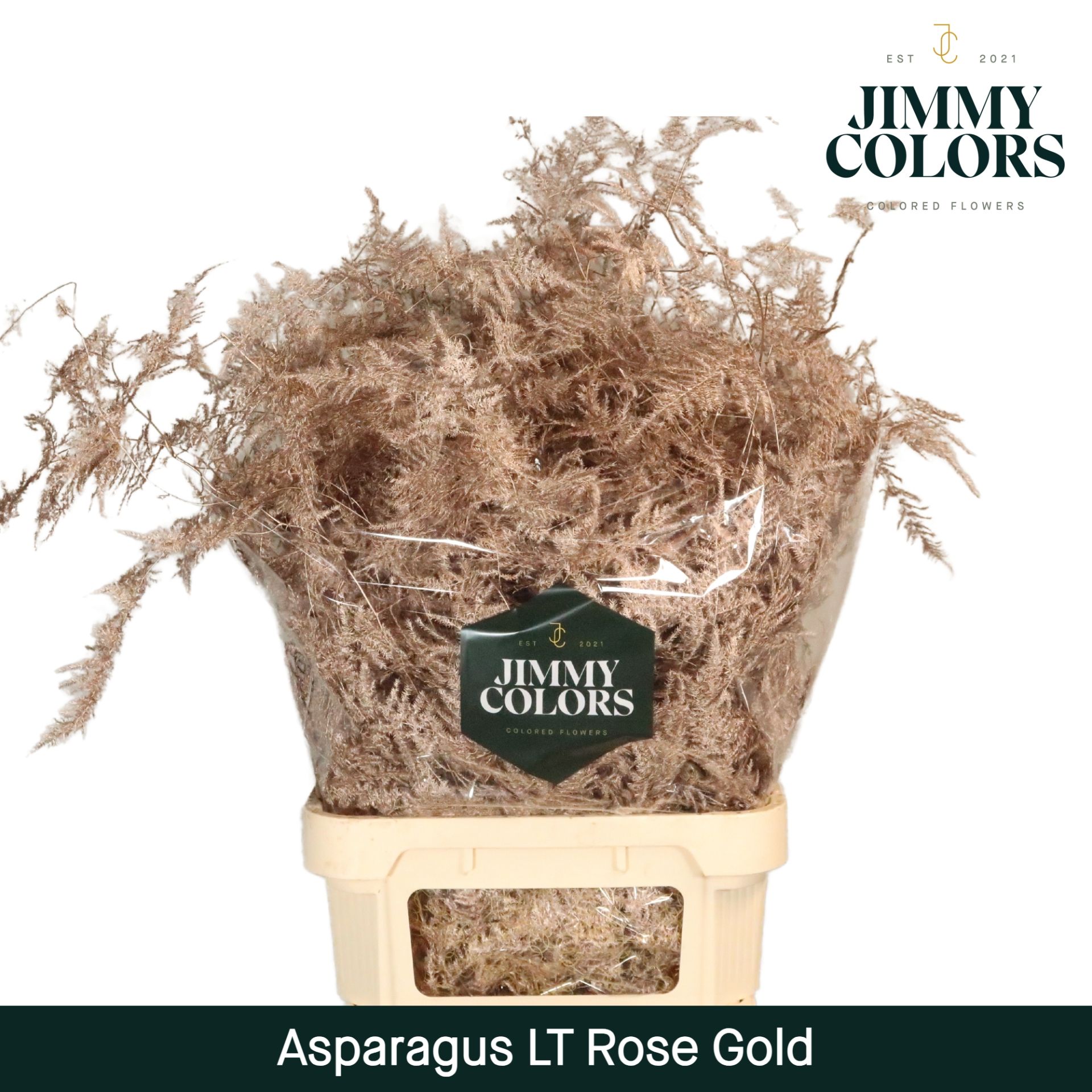 Aspa Lang Getopt Rose Gold