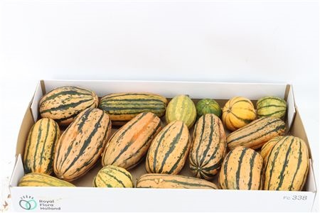 Ornamental Fruits Per Piece