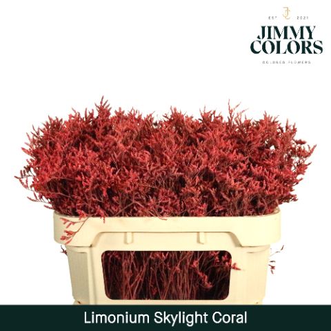 Lim Skylight L70 Coral