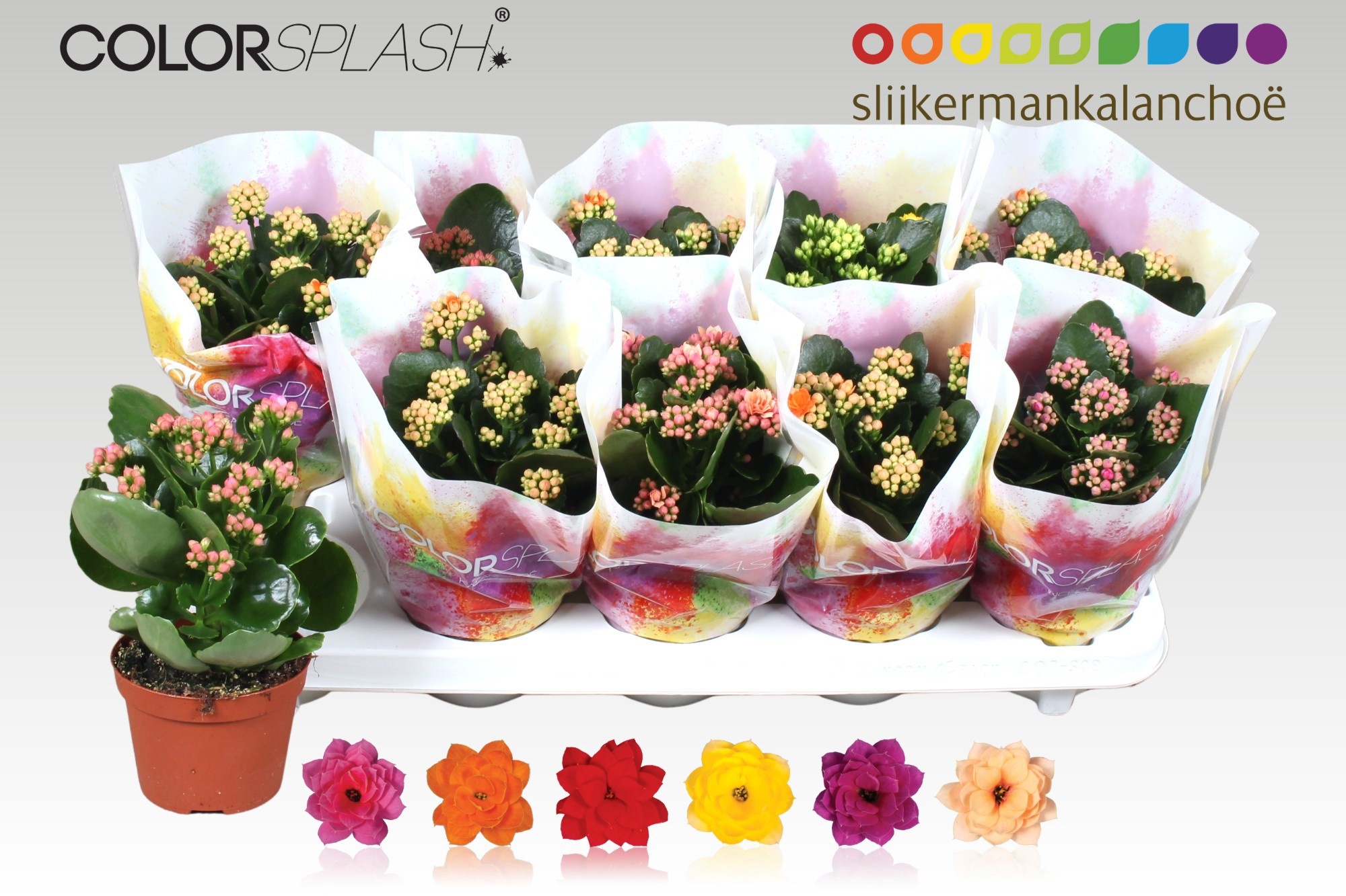 Kalan B Ge Gem 6 Kl 510Ø 20cm