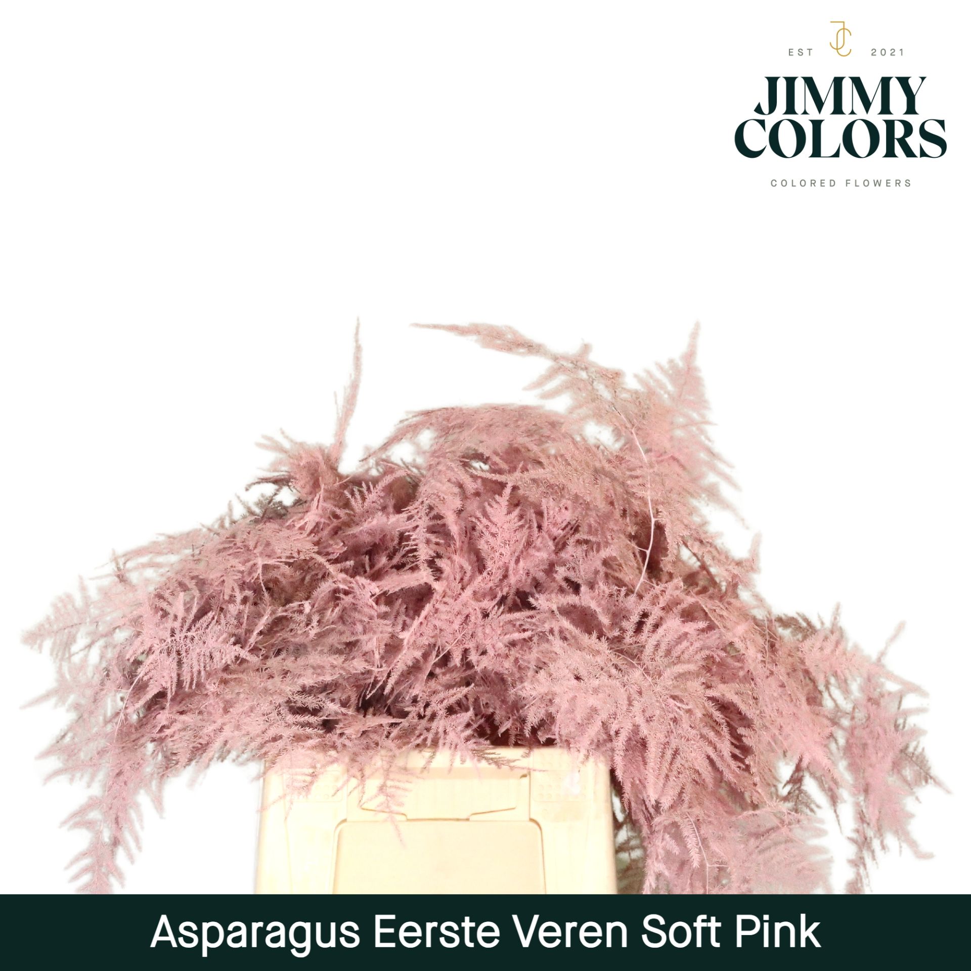 Aspa 1ste Veren Soft Pink