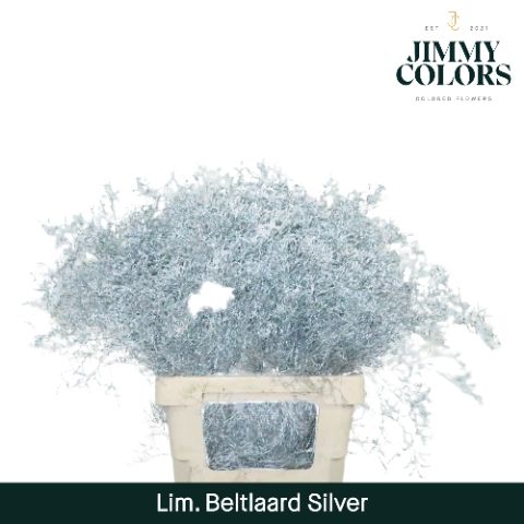 Lim Bel L70 Metallic Silver