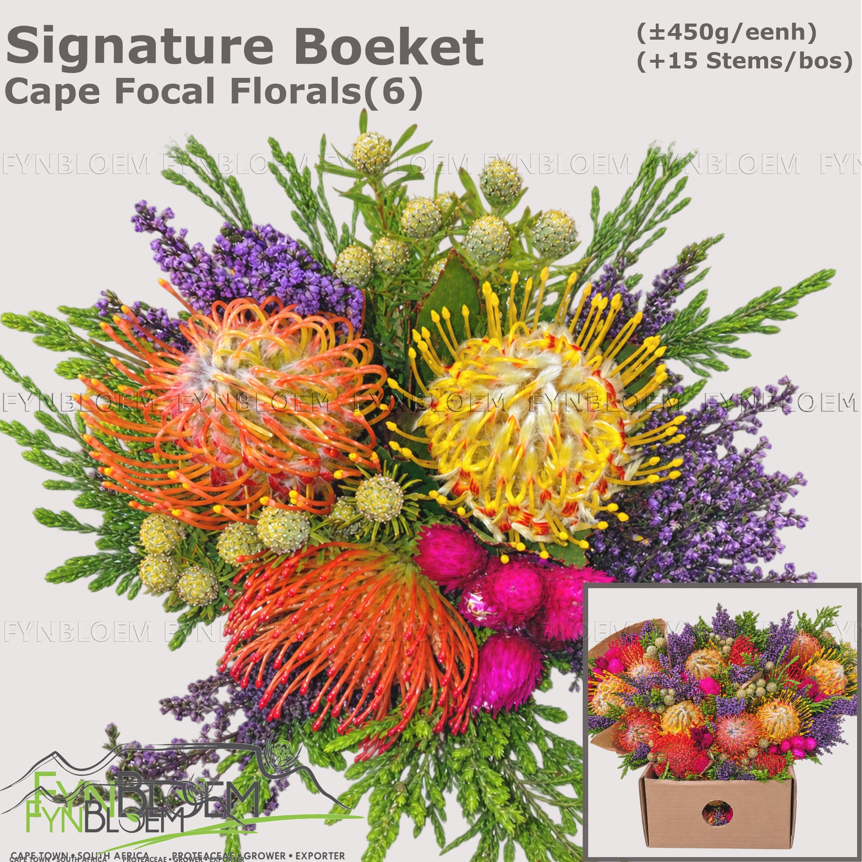 Protea Per Bos