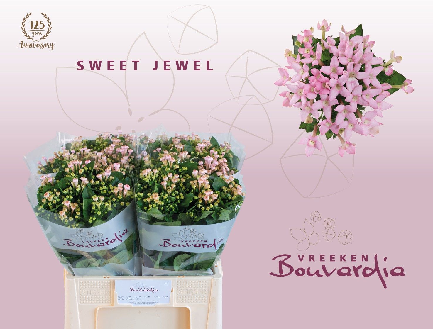 Bou En Sweet Jewel