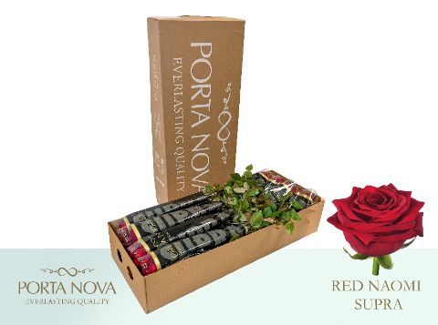 R Gr Red Naomi!