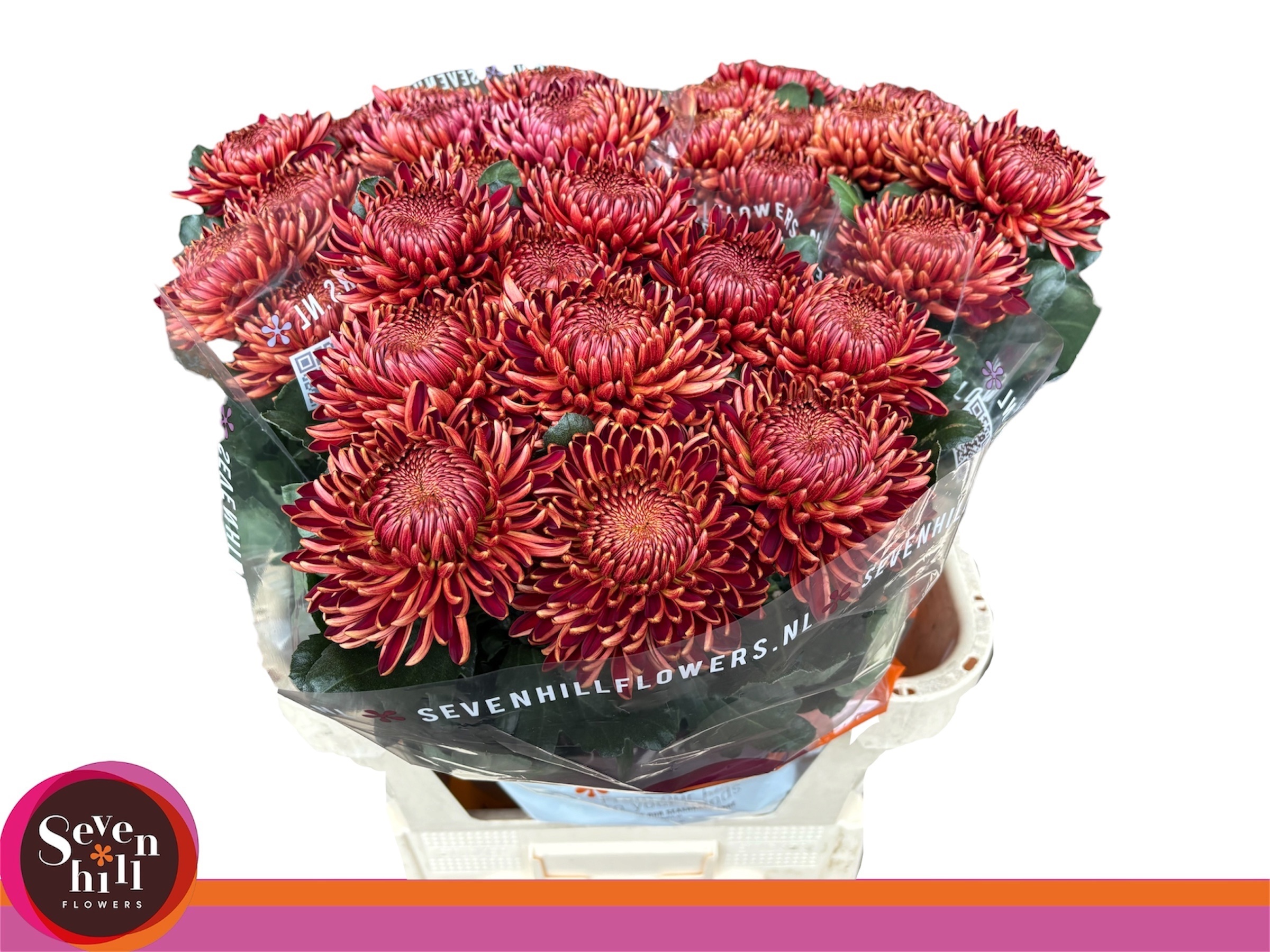 Chr G Bigoudi Copper 80cm 115gram
