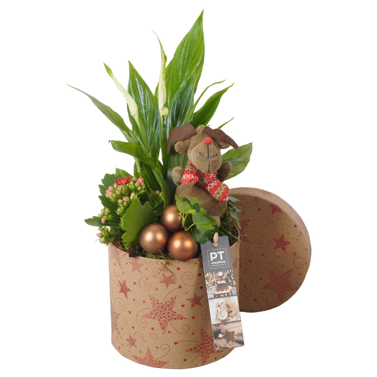 Picture of PTKB9466 Arrangement X-Mas in decorative paperbox P15 35CM